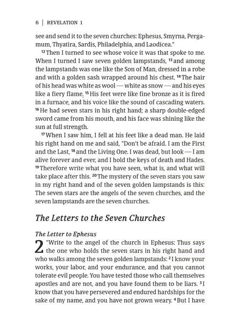 CSB Scripture Notebook, Revelation