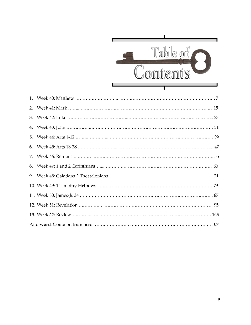 20 Pages a Week: Volume 4 - The Gospel (Matthew-Revelation)