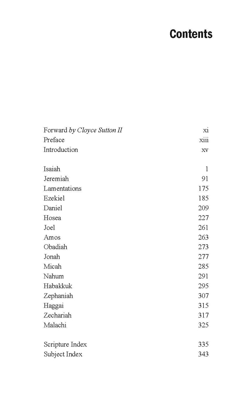 Wings Like Eagles: Reflections on Life in the Lord - Volume 3: Isaiah - Malachi by David King